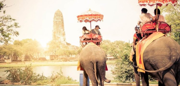 タイの象乗り観光